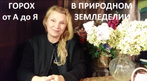 Горох от А до Я в природном земледелии.