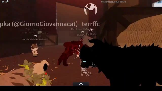 🔴 Играем в Warrior Cats: Ultimate Edition. смотреть онлайн