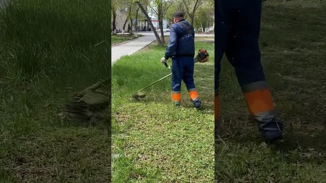 #Stihl fs 450 первый #покос #травы #леской 3 мм смотреть онлайн