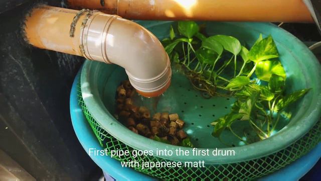 DIY Koi Pond Filter Setup for Crystal Clear Water! смотреть онлайн