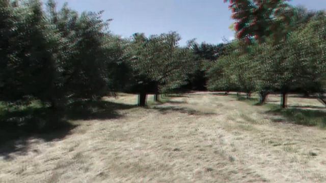 Test Sony HDR-TD30 Rosso/Ciano смотреть онлайн