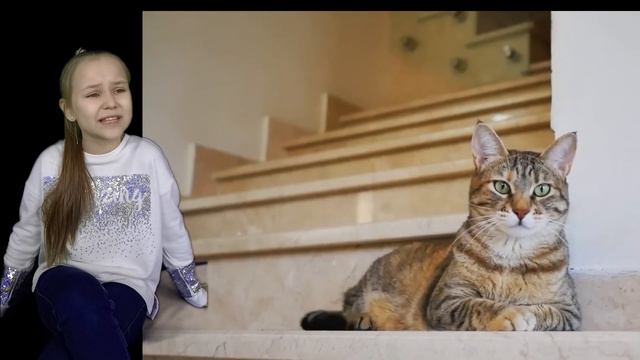 Кис Кис Мяу «Мурлыка» - Даша Аверчева. Всероссийский день КОШЕК смотреть онлайн