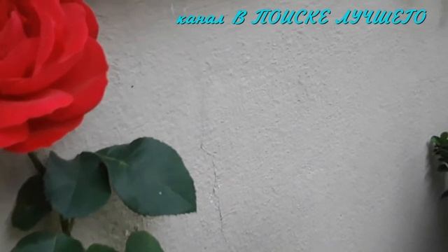 СКАЗКА. Улитка и розовый куст. Г.Х.Андерсен смотреть онлайн