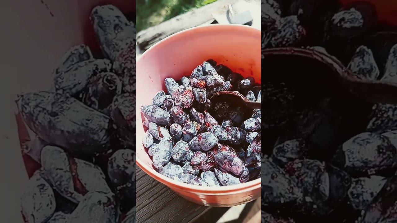 в рот кладу ягоду