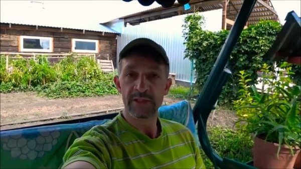 СВИНЬИ КАК БИЗНЕС УКРАЛИ КАНАЛ  SOS!!!