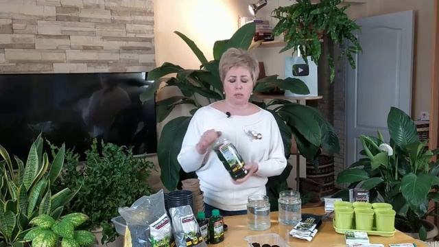 Подкормка и основные три кита для правильного развития растений / СОВЕТ ЭКСПЕРТА смотреть онлайн