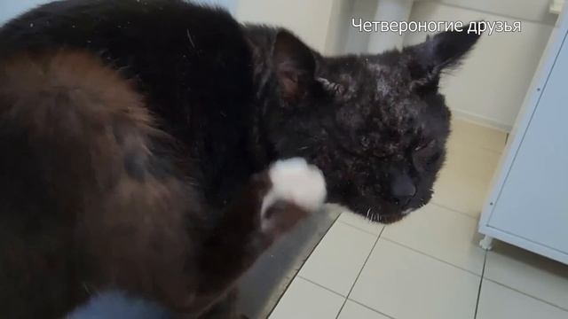 Волшебный мир укладок