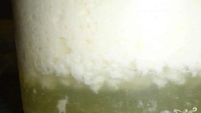 Сборник рецептов