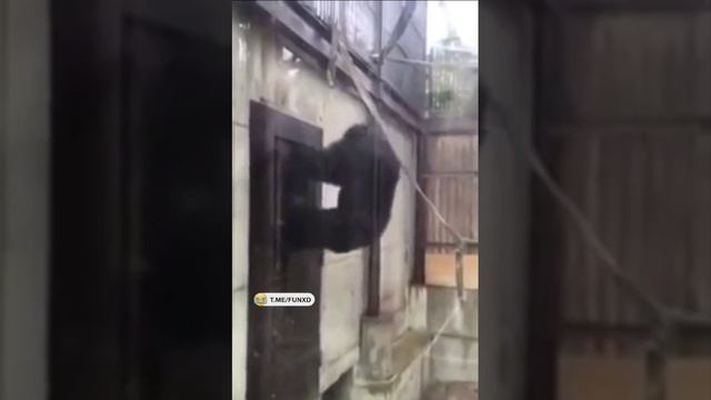Столовую не открыли вовремя, очередь. смотреть онлайн
