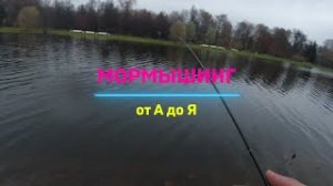#Мормышинг | Ловля спиннингом на мормышку   ОТ А ДО Я|