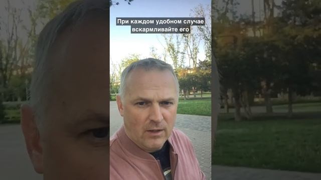 Стукач в коллективе