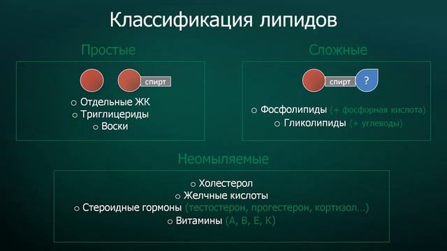 Урок 1. Общее представление о жирах смотреть онлайн