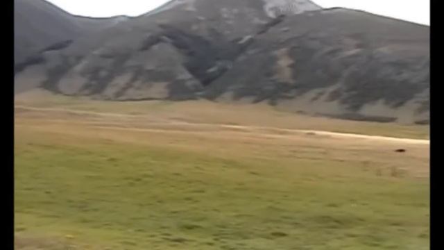 Часть третья - на охоте в горах Новой Зеландии. смотреть онлайн