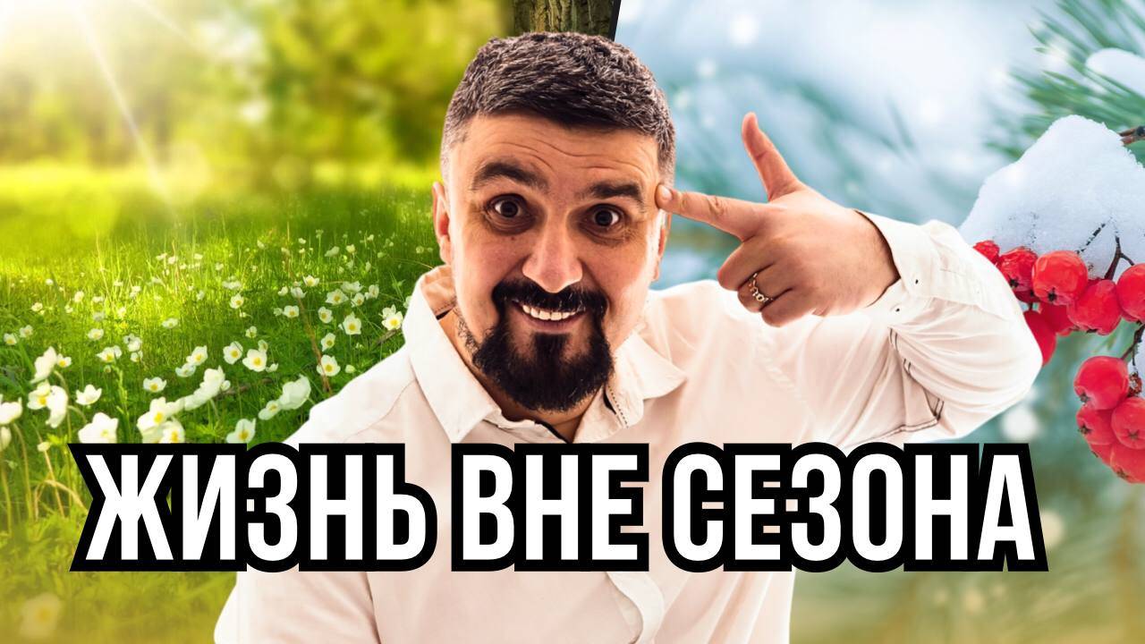 ЖИЗНЬ ВНЕ СЕЗОНА смотреть онлайн