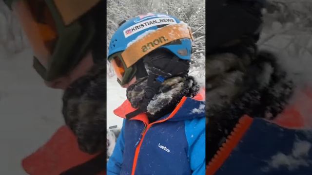 В лес за Ёлкой к Новому Году! смотреть онлайн