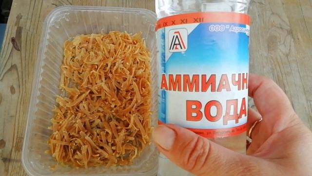 У меня на огурцах тля Как я с ней боролась смотреть онлайн