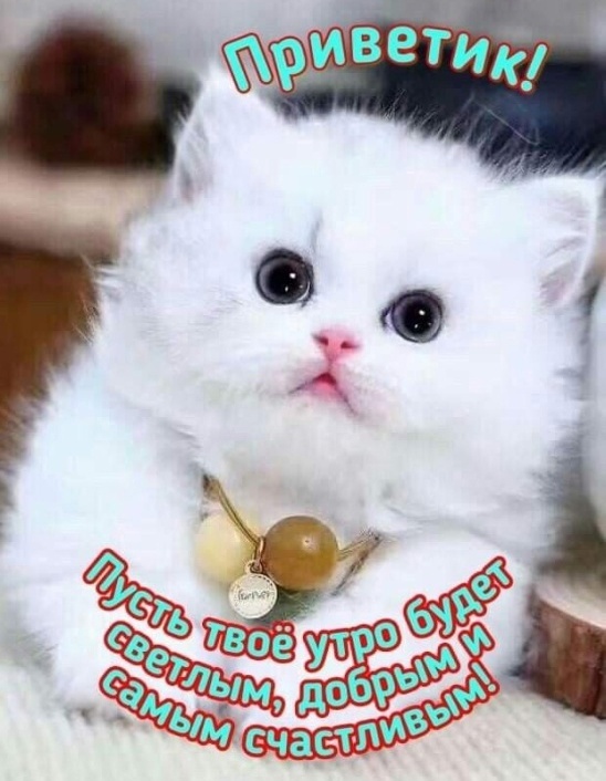 Доброе Утро! Красивые пожелания с Добрым Утром???