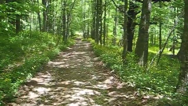 Чайный домик 088.avi смотреть онлайн