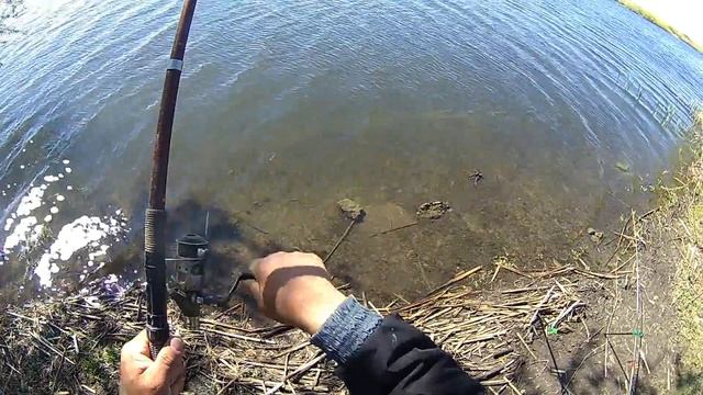 Ловля карася на донку)),,Пенка,, рулит! смотреть онлайн