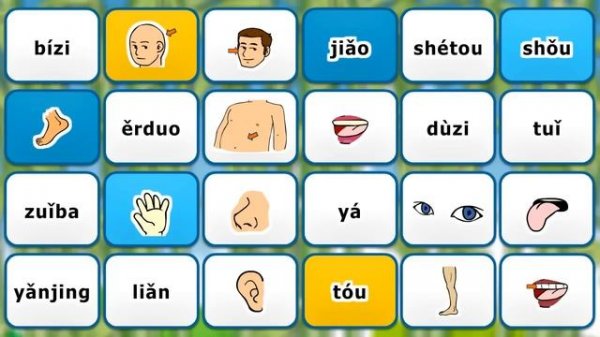 Learn Chinese in 3 easy steps: Body - shēntǐ - 身体 English - Pinyin Chinese Characters