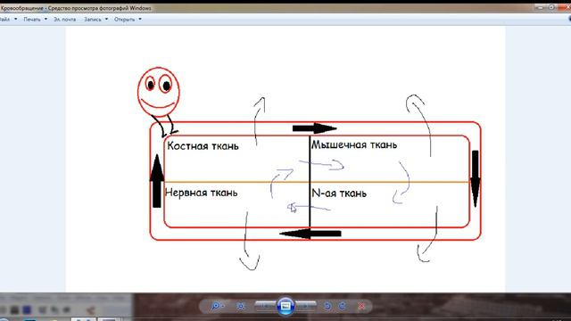 Кровообращение смотреть онлайн