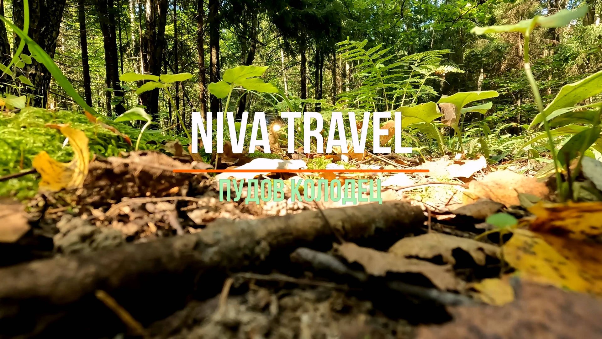 Пудов колодец. Покатушки по лесу на Niva Travel