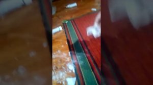 ПВА клей или как очистить ковёр
