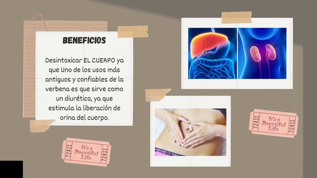 EL CACTUS Y LA VERBENA, EMISORA GOLDEN смотреть онлайн