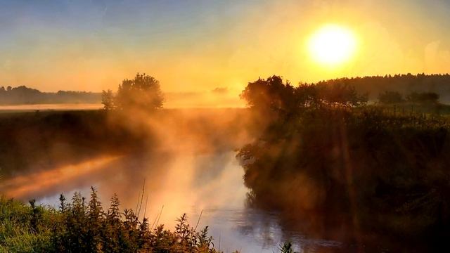 рідна моя земле -наталія май смотреть онлайн