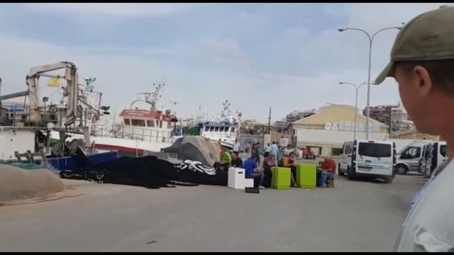 Южная Испания. Рыбалка на Средиземном море. День шестой. Приключения продолжаются! смотреть онлайн