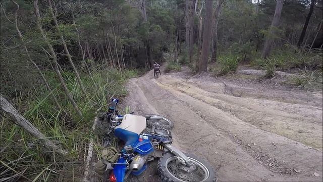 TTR250 and DRZ400 out bush ??with Matthew смотреть онлайн