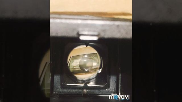 Моя небольшая коллекция фотоаппаратов СССР часть 48. Lubitel 2 экспортный. смотреть онлайн