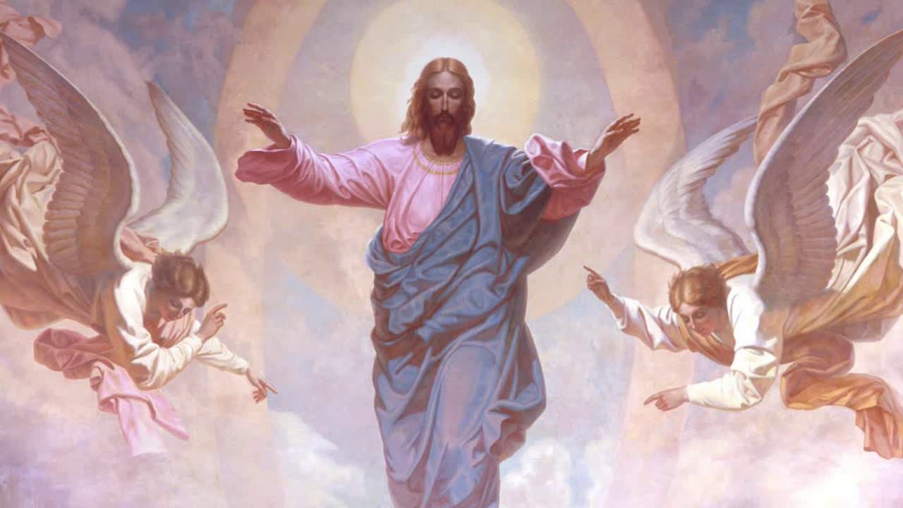 Мидис (СУТЬ) Зардаваран смотреть онлайн