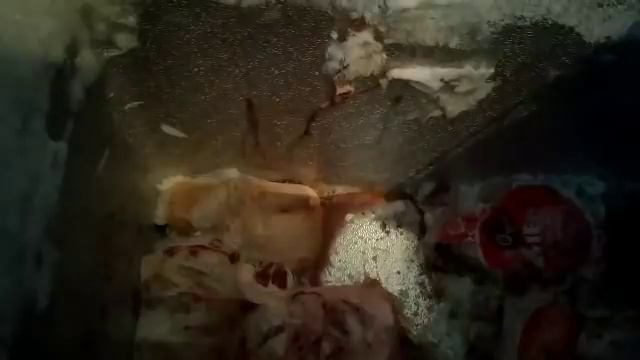 Шашлык-башлык и морозильник ларь Renova. Нужен Ваш совет смотреть онлайн