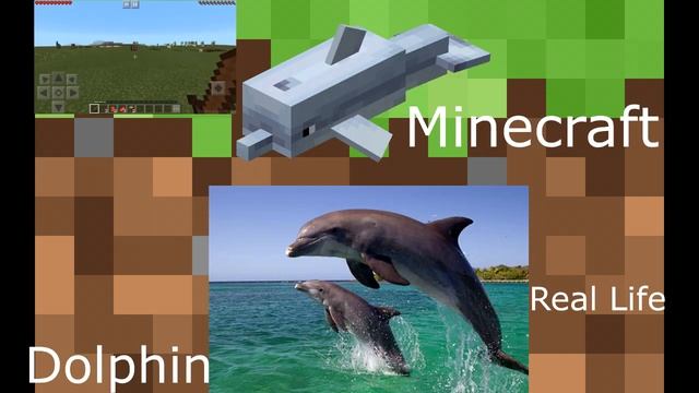 Minecraft vs Real Life | Minecraft Alex & Steve in Real Life, Skeleton in Real Life смотреть онлайн