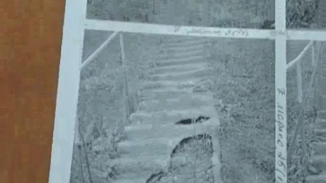 лестницы смотреть онлайн