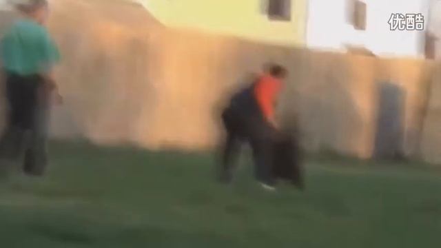 Rottweiler Vs Bullmastiff