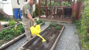 4. Раскрываю секреты богатого урожая помидор! Лучший способ посадки томатов на грядке!