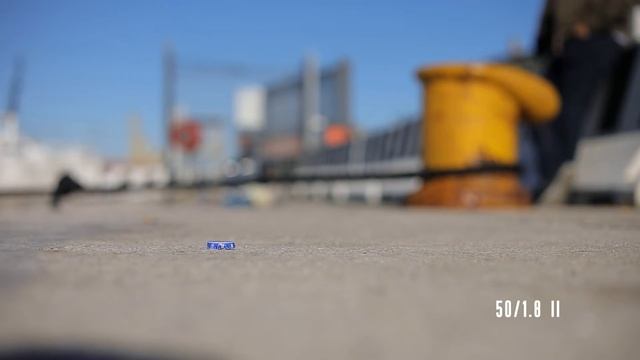 5D Mark IV AF servo in video смотреть онлайн