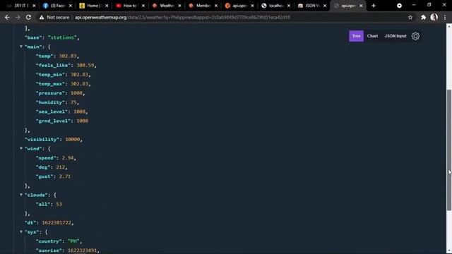How to display JSON data from Postman to your Browser смотреть онлайн