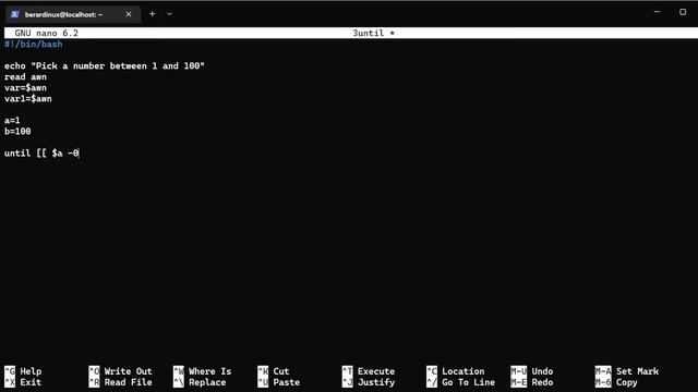 Bash Learning Until Loops смотреть онлайн