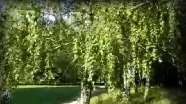 Юлия Андреева. В роще пел соловушка смотреть онлайн