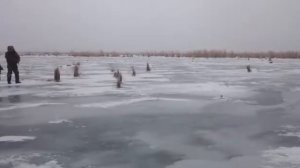 Мне 12 лет рыбалка Лысый лиман