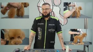 Мастер-класс по стрижке пуделя - Азиатский стиль