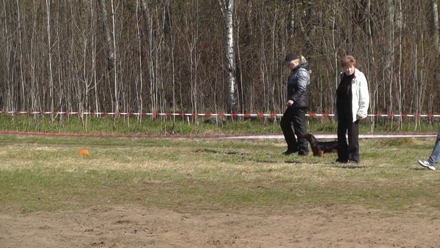 Чемпионат Тверской области (CACT) 2014 г. по ОКД и ЗКС. смотреть онлайн