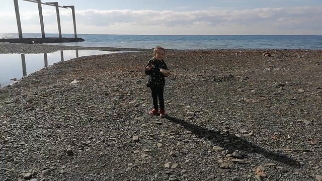 Утренняя кормежка голубей на Черном море в Сочи