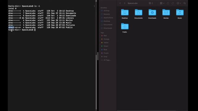 Episode 2: The ls Command! | macOS Terminal смотреть онлайн