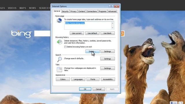 Internet Explorer - How To Delete History, Cookies, And Temporary Internet Files