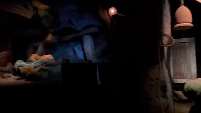 THE LAST SPLASH - Final Ride And Closure Of Splash Mountain At Magic Kingdom