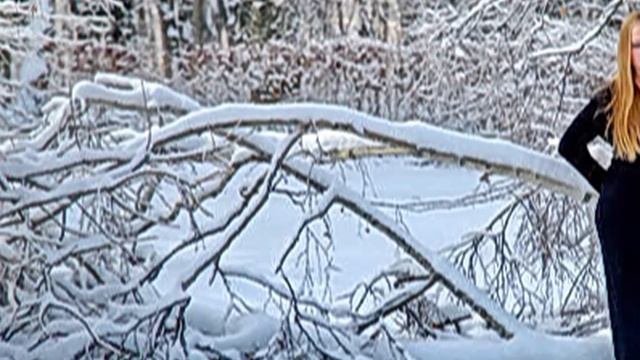 17 мгновений весны 2 смотреть онлайн